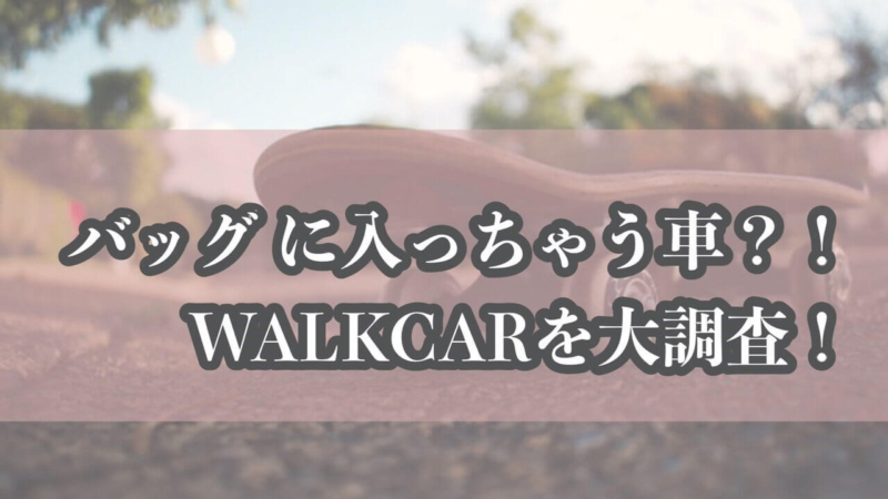 バッグに入る車、ウォーカーを大調査